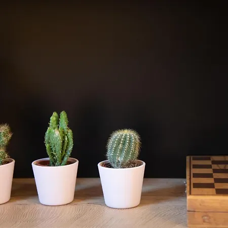 Daire Selamare By Locap Group Piran