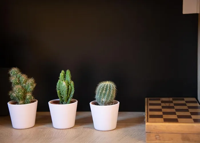 公寓 Selamare By Locap Group 皮兰